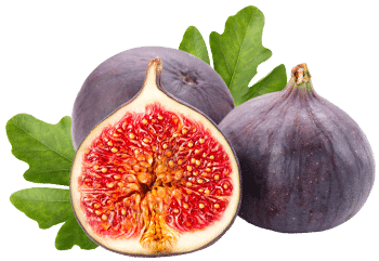 Figs