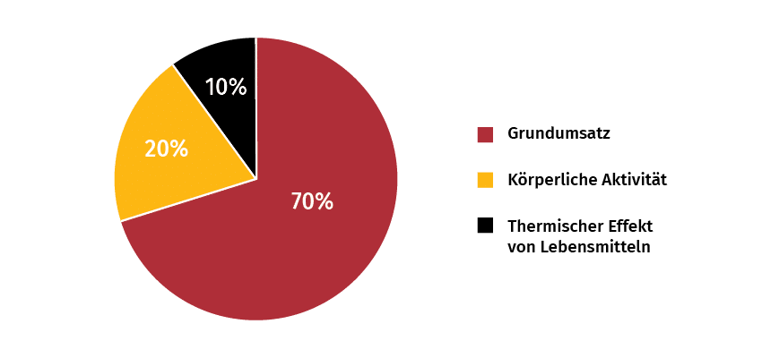Metabolism Booster Extreme 1+1 FREE