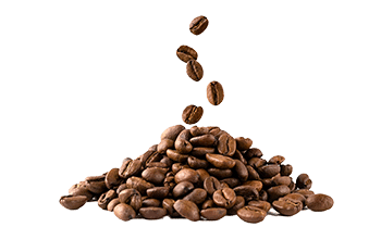 Instant coffee (Coffea arabica L.)
